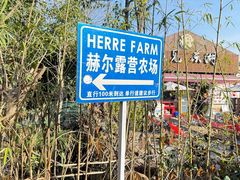 -HERRE·FARM 赫尔露营农场·团建聚会包场