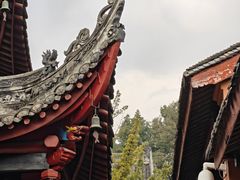 -龙抄手(文殊坊店)