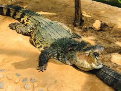 -石家庄市动物园