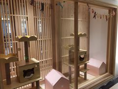 -猫腻·猫咖·撸猫馆(星光大道店)