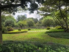 -晓港公园