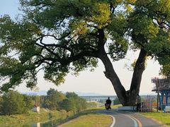 -乌龙涧铁道铁轨景
