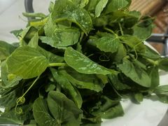 -朝伟清真铜瓢牛肉馆(三十年老·店)