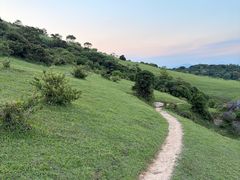 -大姆山草场