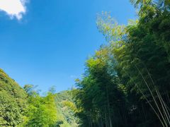 -白云源风景区