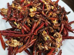 -西塔隆太白烤牛肉馆(图们路店)