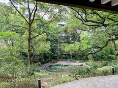 -香港大学