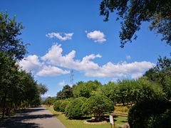 -永定河休闲森林公园