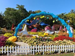 -上海共青森林公园