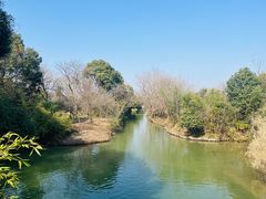 -西溪国家湿地公园