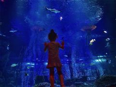 -沈阳海洋探索中心