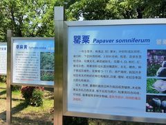 -国家植物园南园