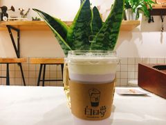 -白日梦奶茶