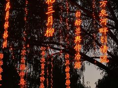 -万泉公园