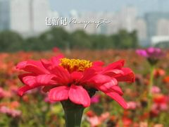 景点-皇粮浜公园