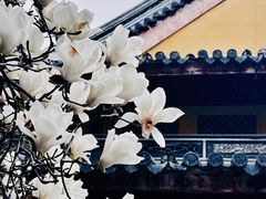 -龙华寺