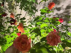 -大妙火锅·非物质文化遗产(东湖公园店)