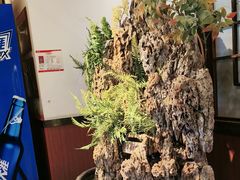 -成老灶火锅鸡(平山店)