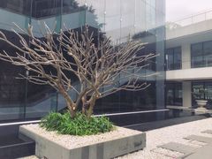 -广州白天鹅宾馆