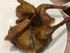 -东方御宴海鲜酒楼(棕泉酒店)