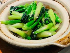 沙酱啫芥兰-味妙顺德厨房(绿地缤纷城店)