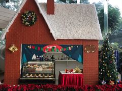 -成都世纪城假日酒店-西楼