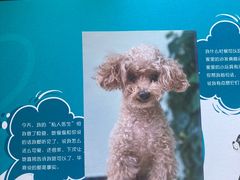 -美联众合动物医院·24h转诊中心