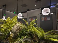 -绿茶餐厅(滨海万达广场店)