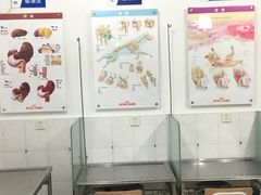 -畜牧兽医站(共江路店)
