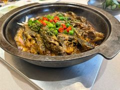 -九福楼大酒店