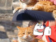 -慕田峪长城