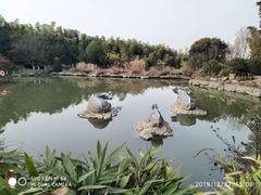 -宝岩生态观光园