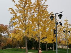 -北京雁栖湖国际会展中心