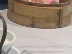 -点都德·毕德寮