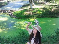 -长白岛森林公园