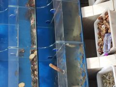 -宾朋海鲜特色美食餐厅·纯手工鲅鱼水饺(兴海路店)