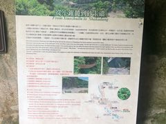 -太鲁阁公园