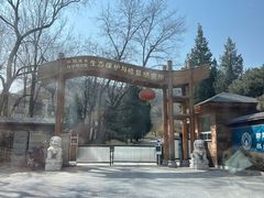 -北京西山国家森林公园