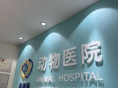 -美迦爱-动物医院·骨科·牙科·夜诊(朝阳路诊疗中心)