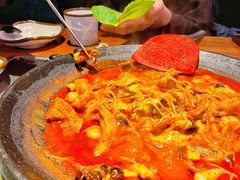 八爪鱼微辣-红辣椒八爪鱼特色韩国料理