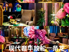 -索拉古贝(义乌北苑店)