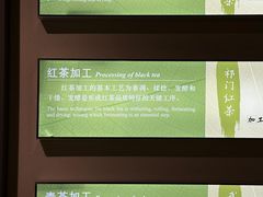 -中国茶叶博物馆(双峰馆区)