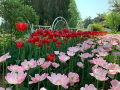 -国家植物园南园