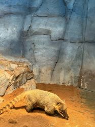 -Zoolung Zoolung动物主题公园(海信广场店)