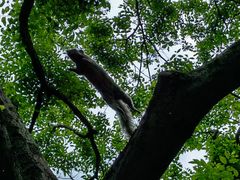 -茅家埠