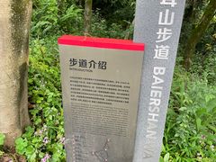 -南山植物园