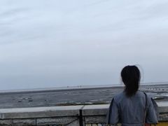 -碧海金沙
