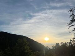 -武陵山森林公园