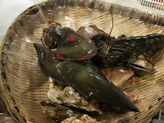 -日进一片海.生腌海鲜火锅.宵夜烧烤(三里屯总店)