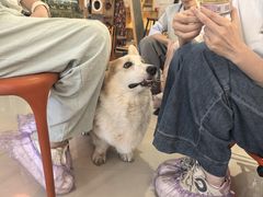 -平行世界·猫咖(首经贸店)